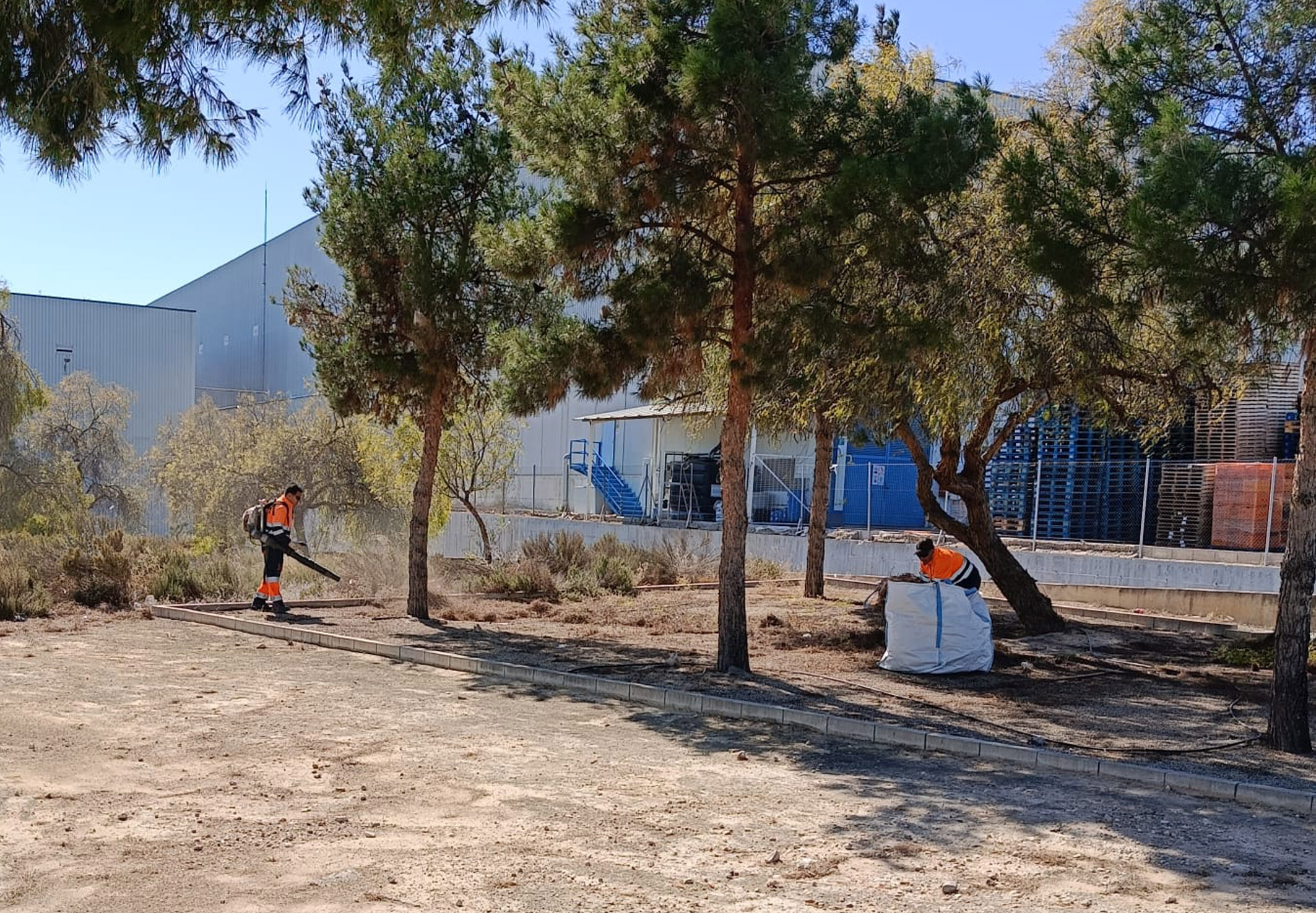La Concejalía de Obras y Servicios realiza labores de limpieza intensiva en varias zonas del municipio