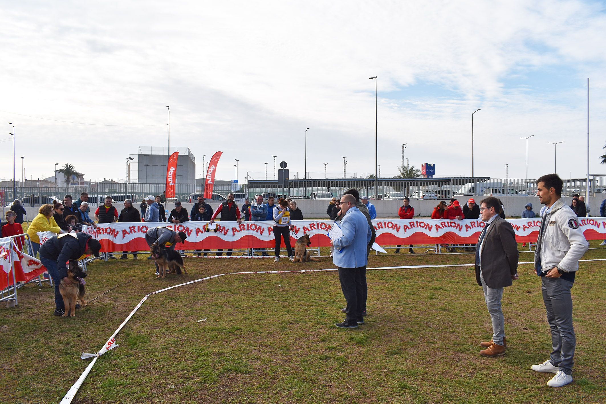 El pastor alemán, protagonista del fin de semana en Las Torres de Cotillas 