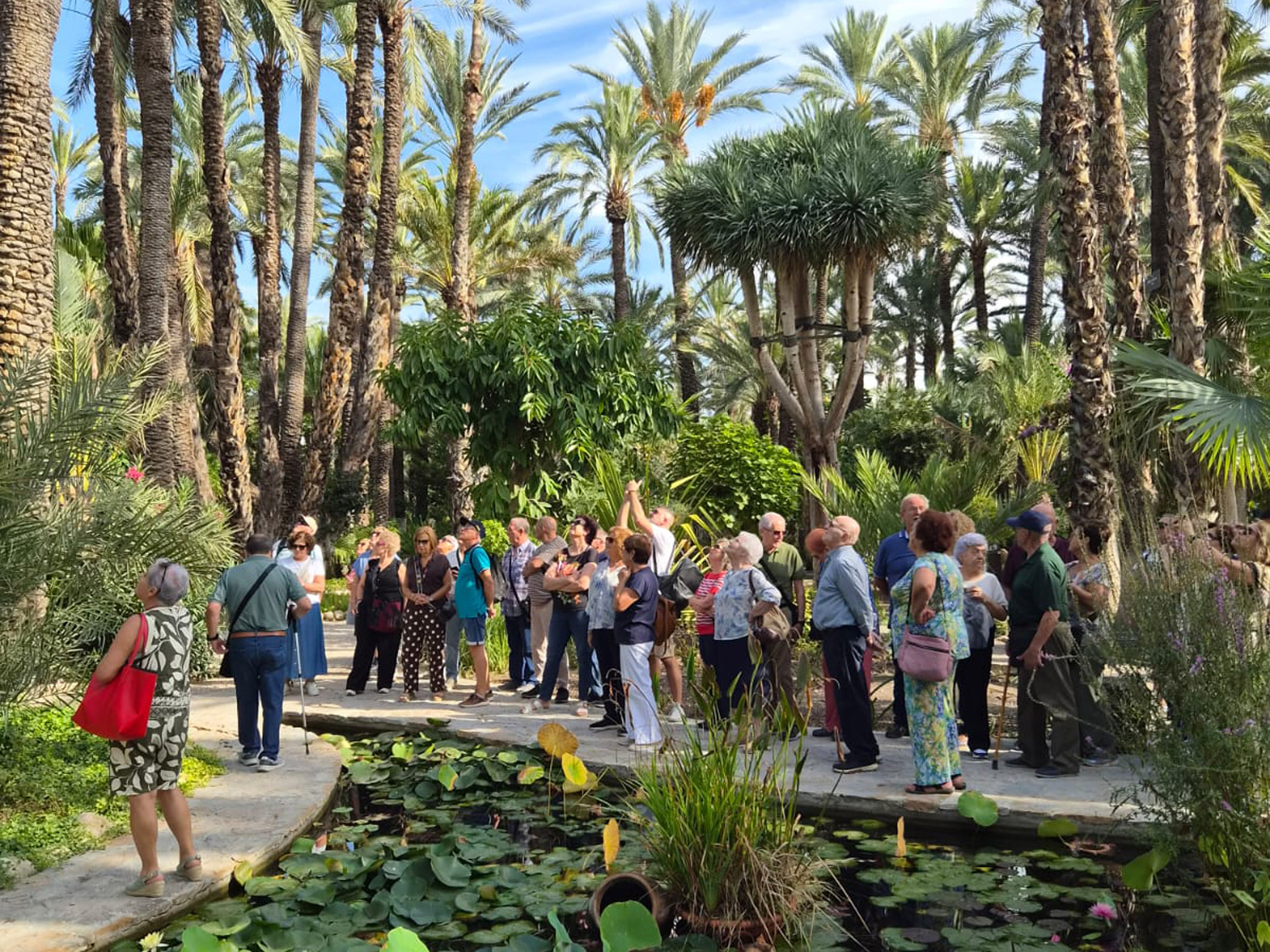 Los mayores torreños celebran su día con una jornada de convivencia y turismo en Elche