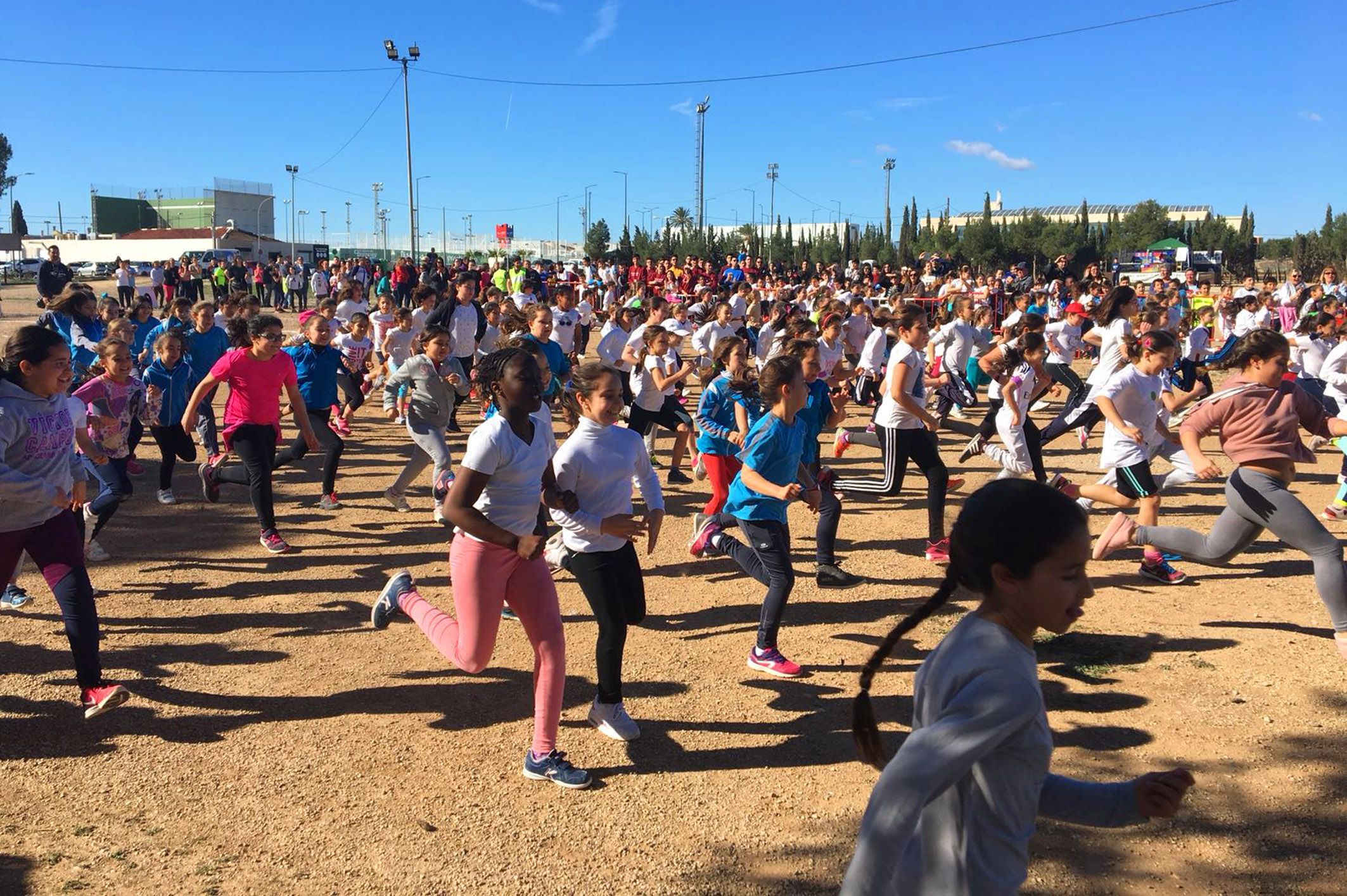 Gran fiesta del deporte en el cross escolar con la participación de 1.325 niños y niñas de los 12 centros docentes torreños
