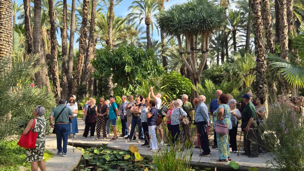 Los mayores torreños celebran su día con una jornada de convivencia y turismo en Elche