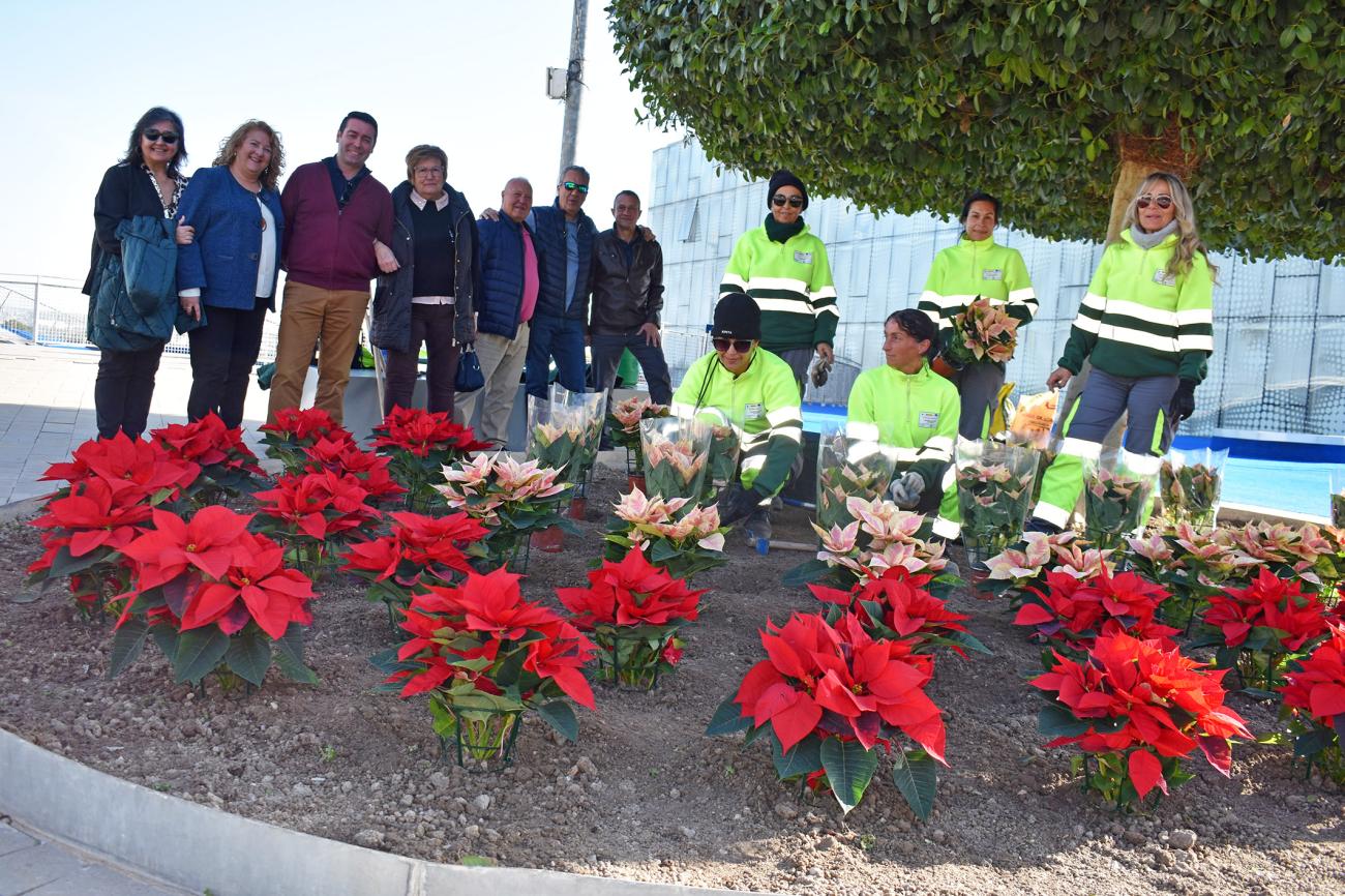 El taller de jardinería del SEF da un toque más navideño el municipio con la plantación de flores de Pascua